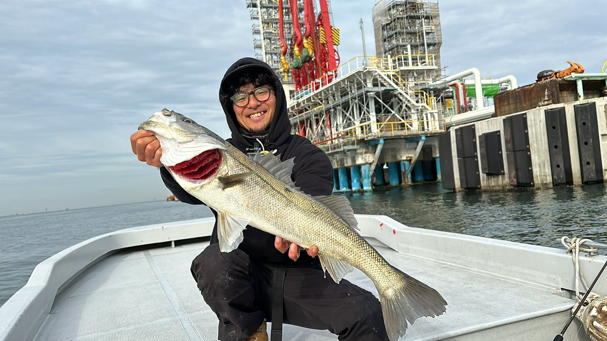 豊田ヒロ tweet media