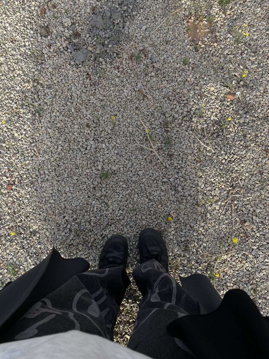 구미호 Loba tweet media