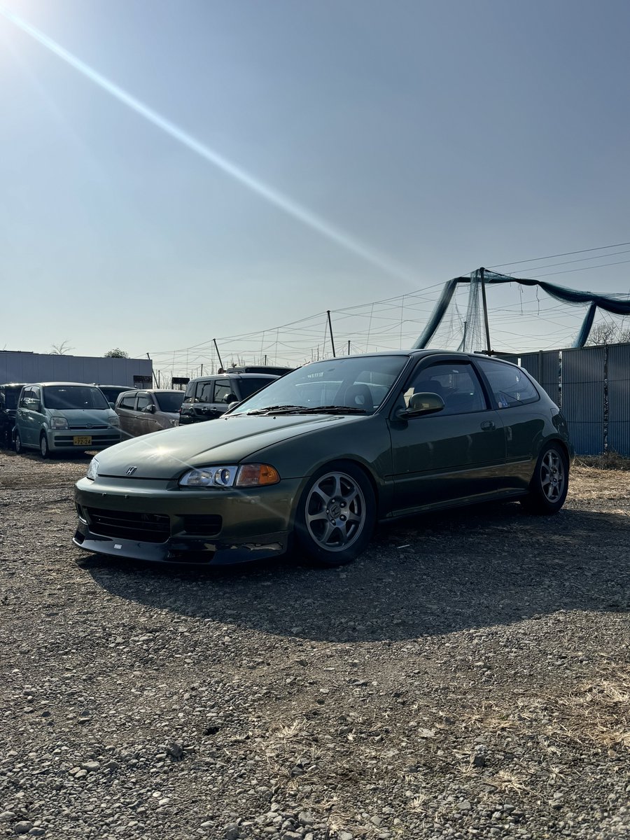 X-POINT import JAPAN tweet media