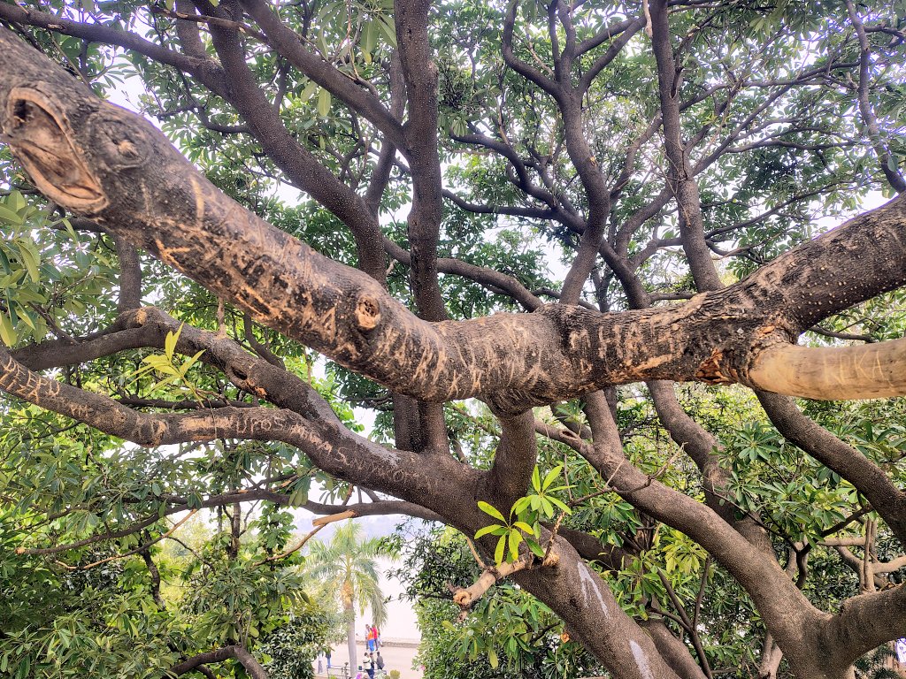 Rishu Raj Singh tweet media