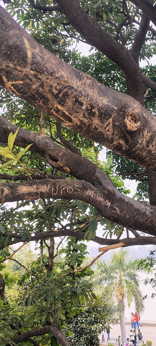 Rishu Raj Singh tweet media