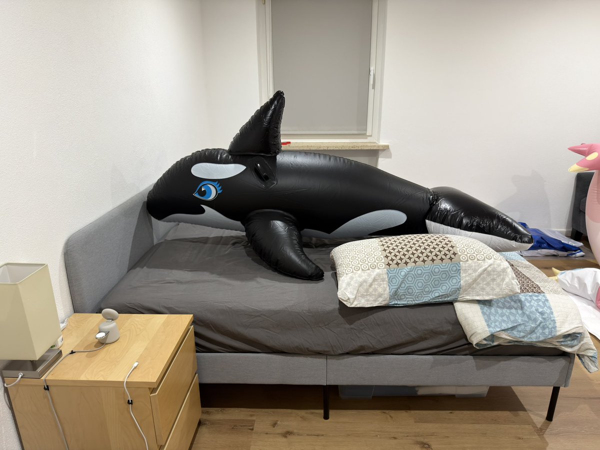 Miko Infla tweet media