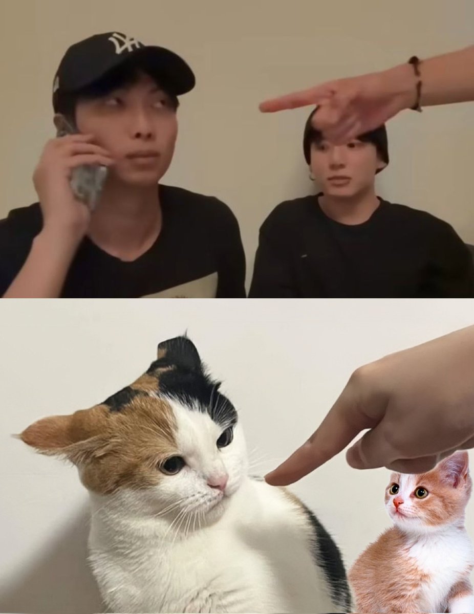 solmerv's tweet image. So accurate