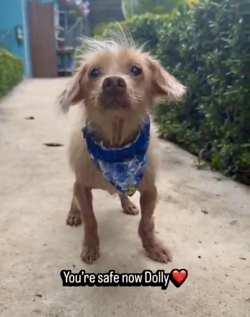 Nick Yada Yada tweet media