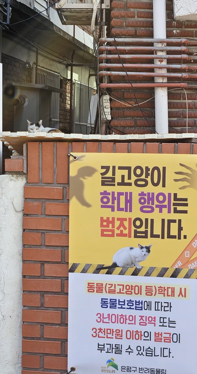 루브르장물관 (@bb_d0g) on Twitter photo 