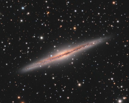 Insight Observatory tweet media