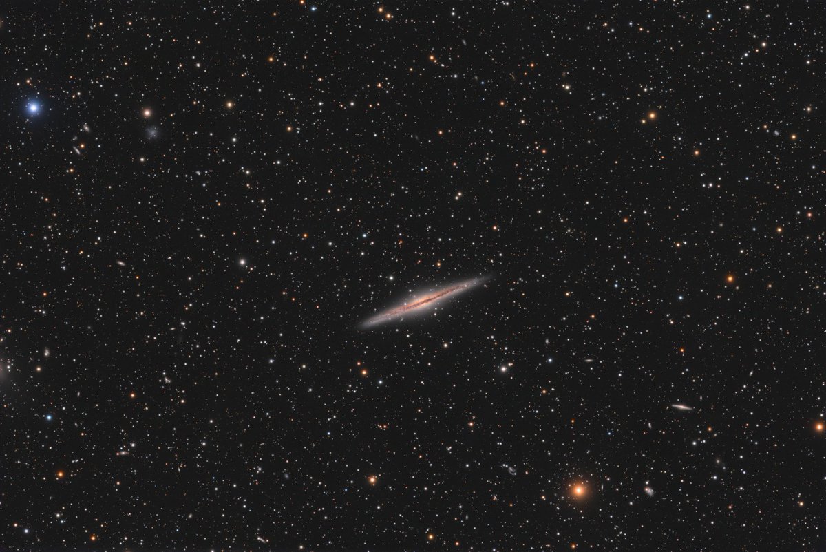 Insight Observatory tweet media