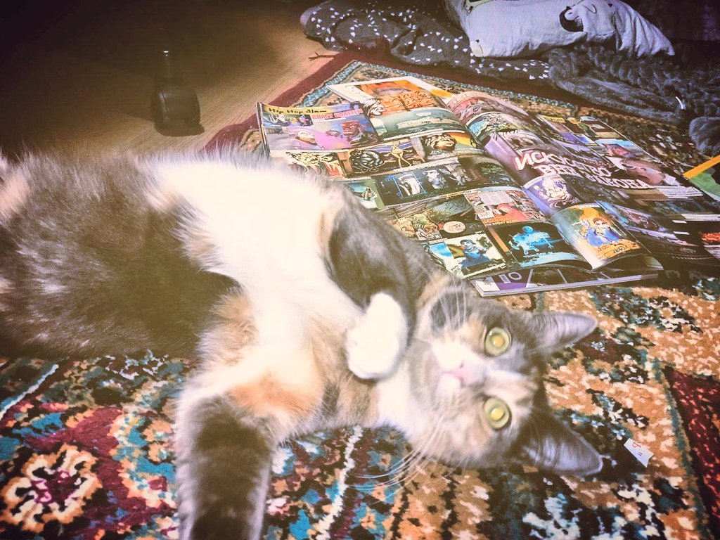 penseven (@sru_v_adu) on Twitter photo 