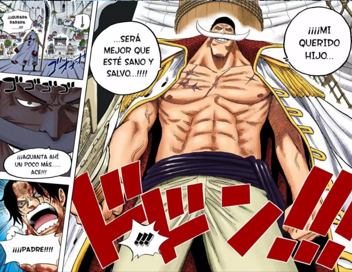 Ya no me puedo tomar en serio a Shirohige por los memes 😭😭😭