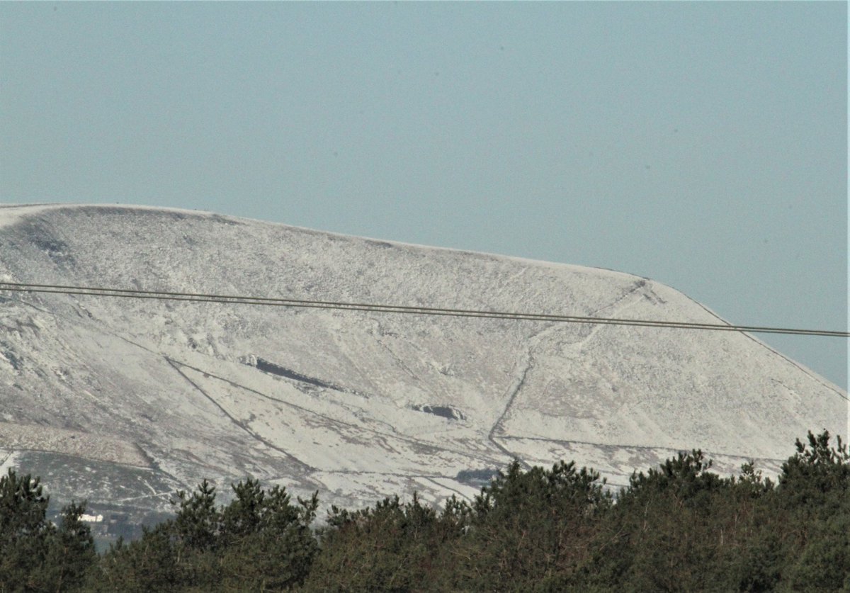 Allen Stuart Holmes tweet media