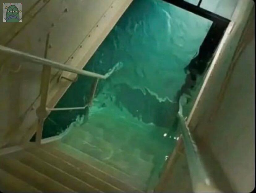 Tanyarlfes tweet media