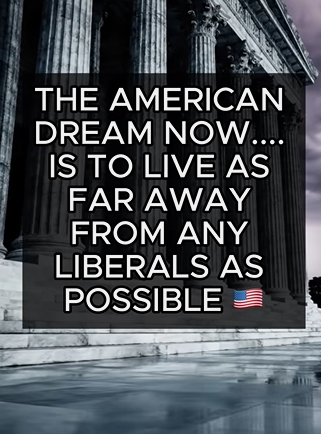 Y'all EVER read anything more true?