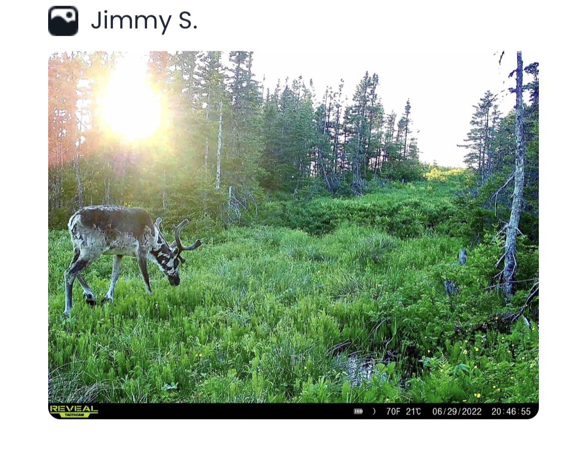 Jim 🇨🇦 tweet media