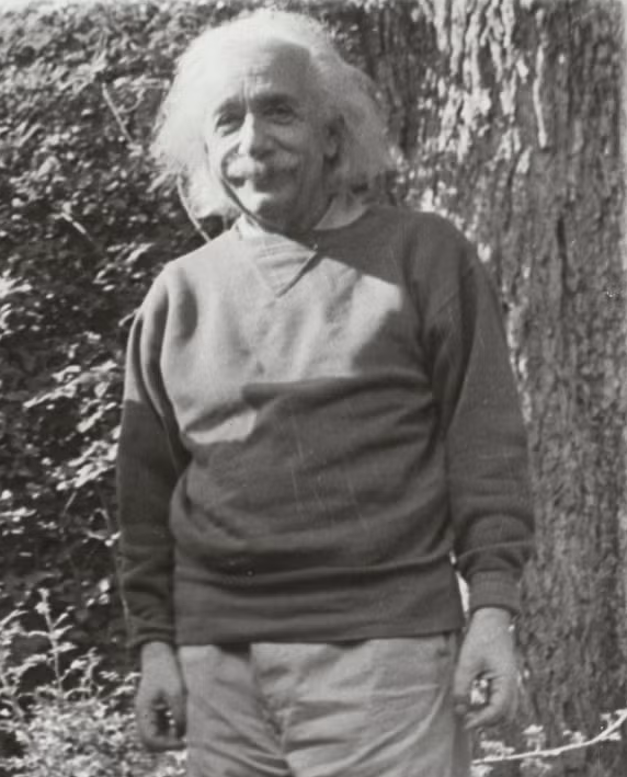 Paul Graham tweet media