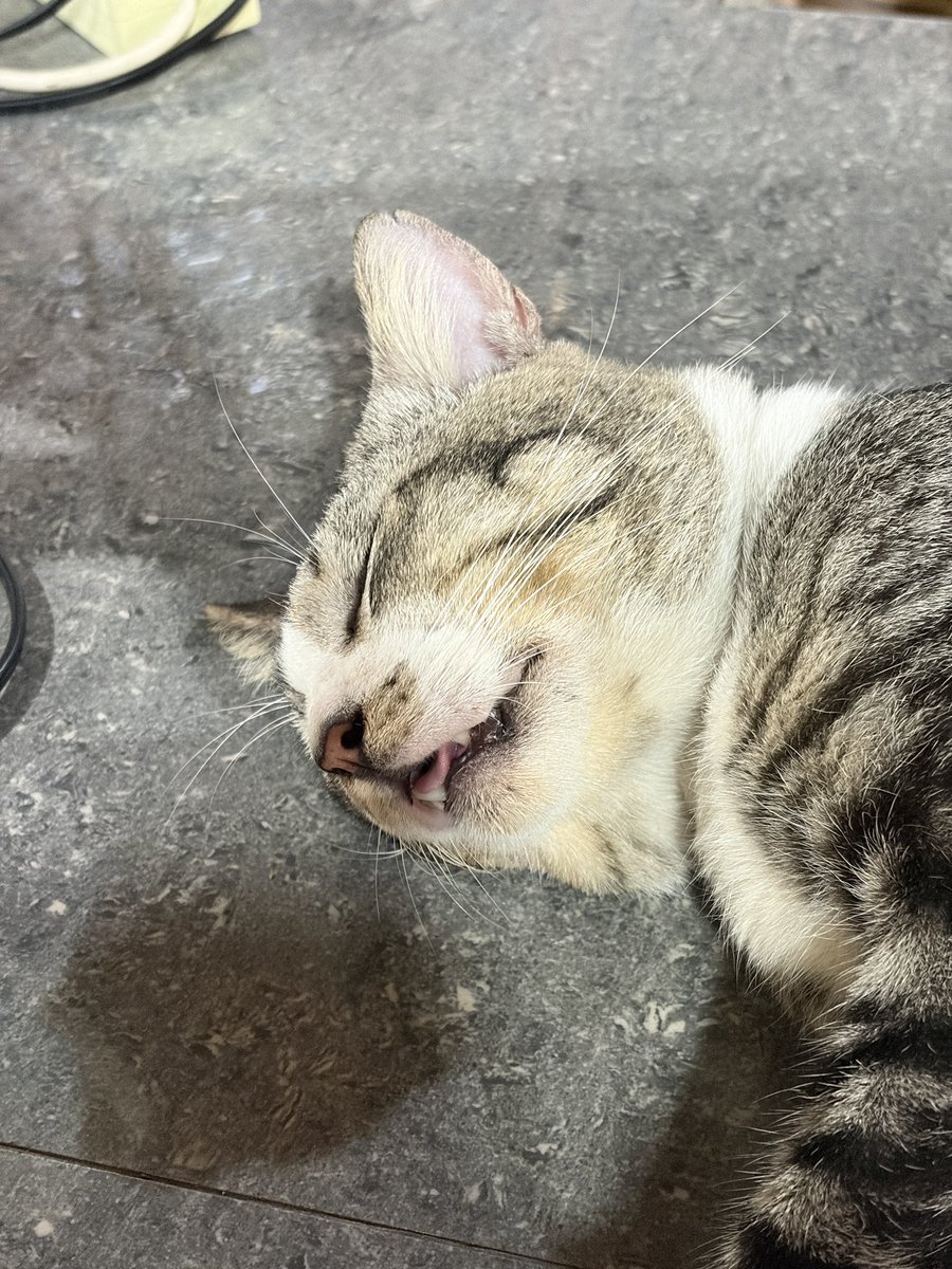 misi, ini saya kabur aja apa nunggu kasirnya bangun ya?