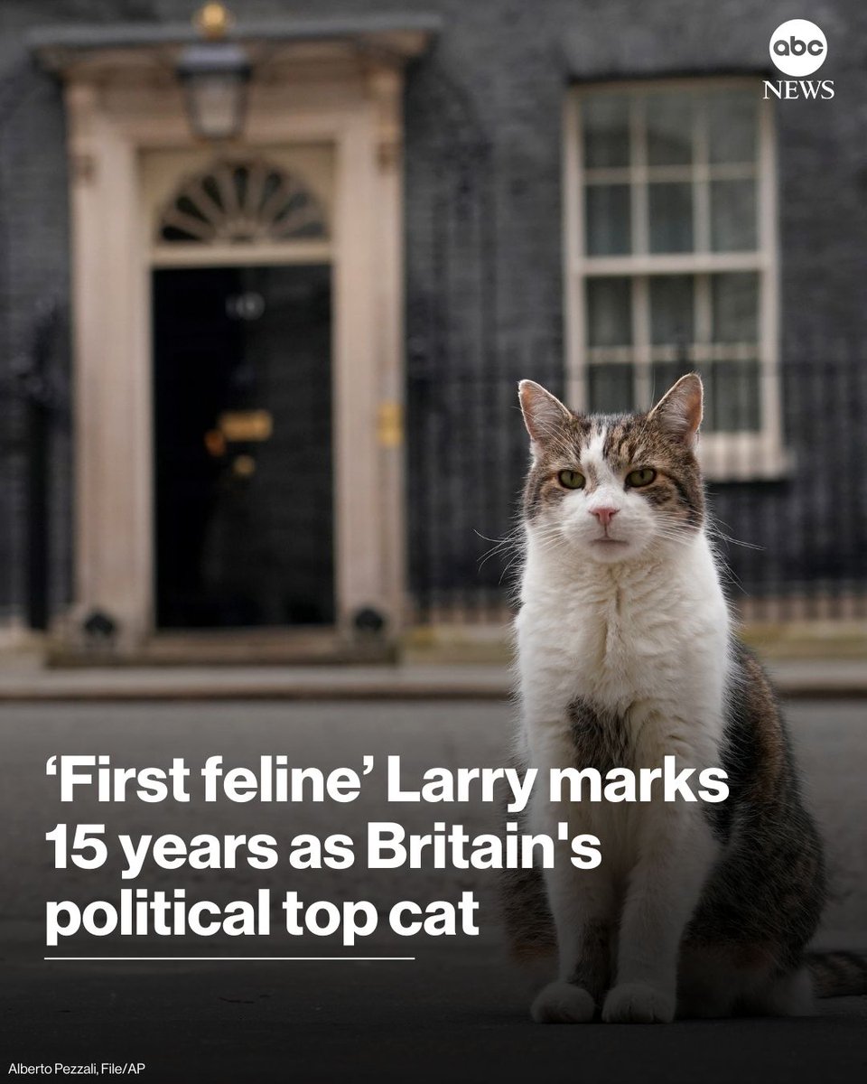 ABC News tweet media