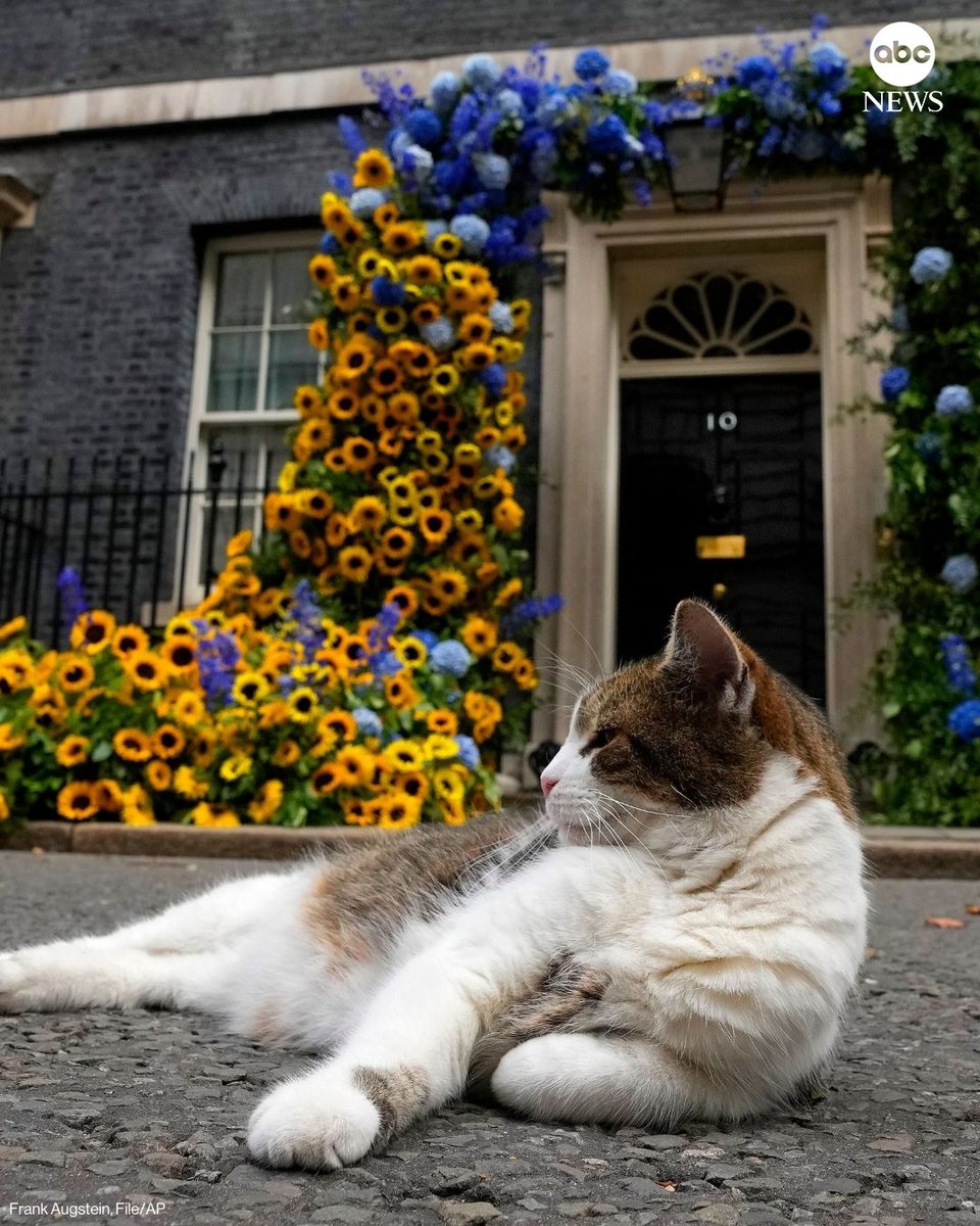 ABC News tweet media