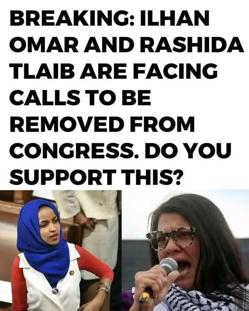 SaltyGoat17's tweet image. I've never supported anything more in my life!!  You?