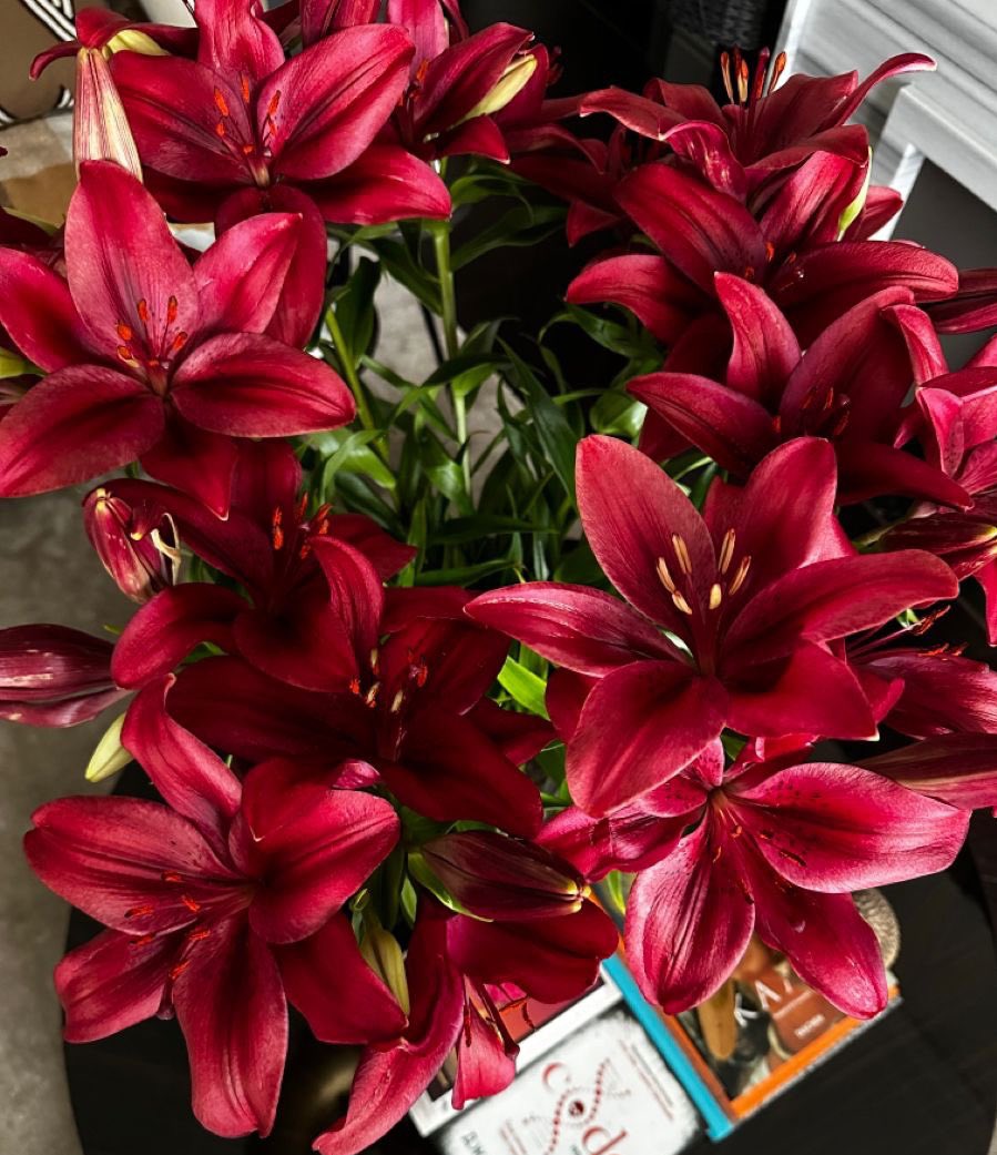 —— Se le ha pasado un poco porque el pobre ha estado con fiebre y no ha salido de casa pero en cuanto ha podido se ha puesto en contacto con el duende Francisco para que le deje este obsequio a <a href="/rougetone/">𝔓𝖨𝖭𝖠</a> con una pequeña notita. —— 

“ Me recuerdan a ti tan vibrantes y +