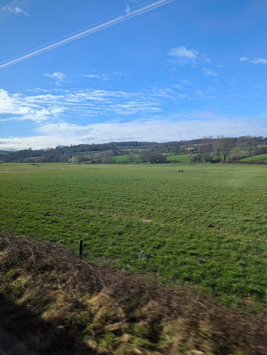 Shay Bottomley tweet media