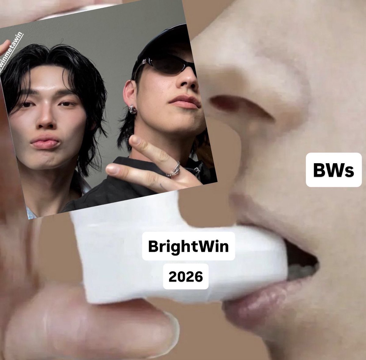 : meow : tweet media