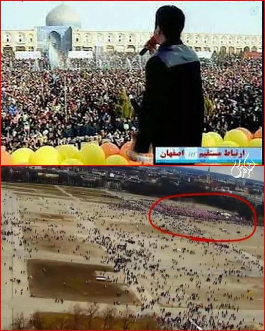 زنده باد عمو پورنگ که طرفدارانش از پهلوی بیشتره
#سیرک_مونیخ