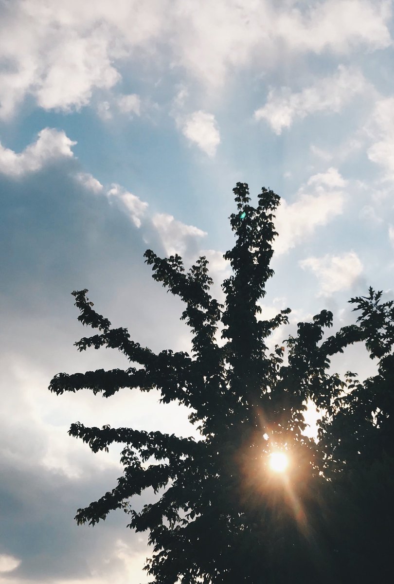 Mert (@yerelradyo) on Twitter photo 