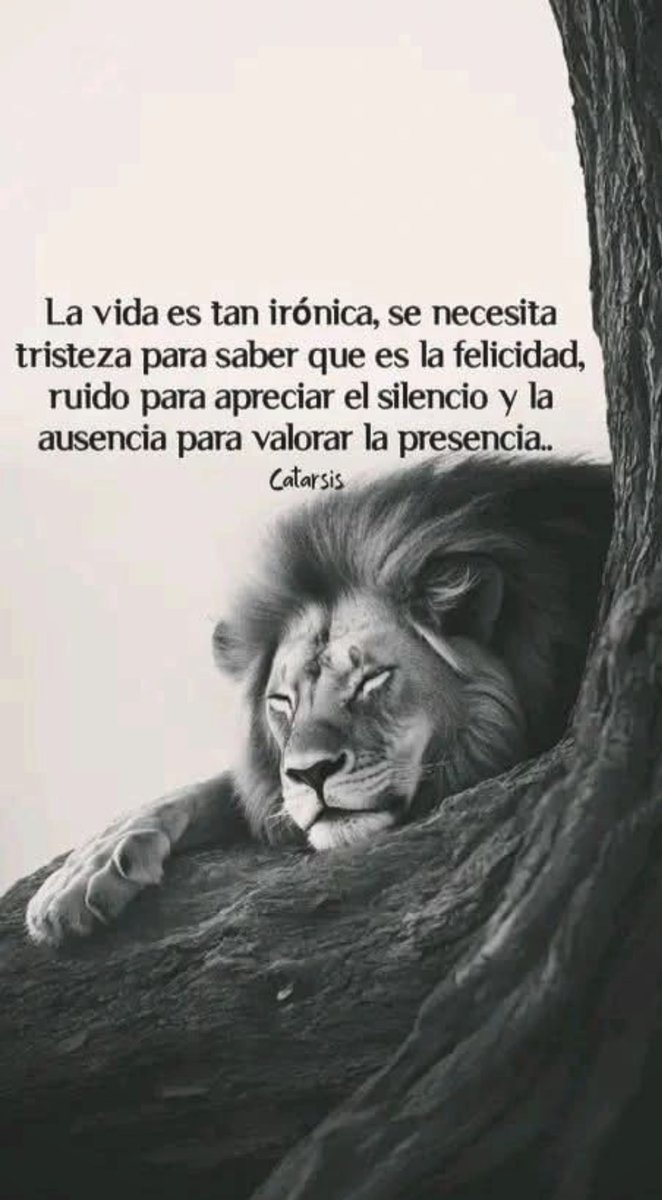 ... Y de lunes a sábados, para valorar un domingo, no? 😉👍