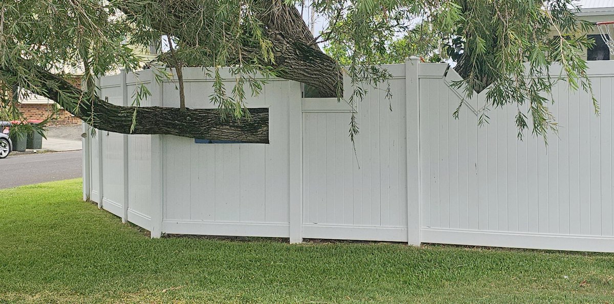 Mildly Interesting tweet media