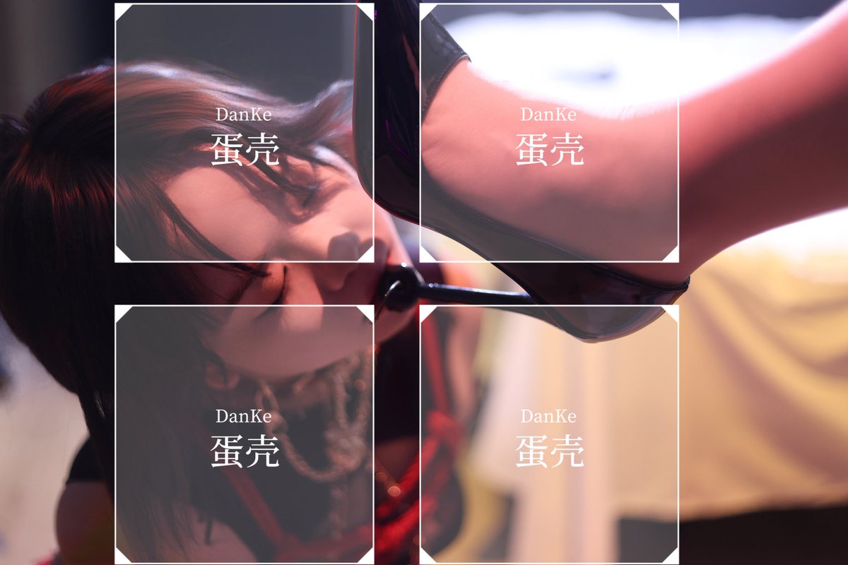 蛋壳Danke tweet media