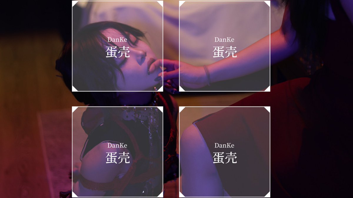 蛋壳Danke tweet media