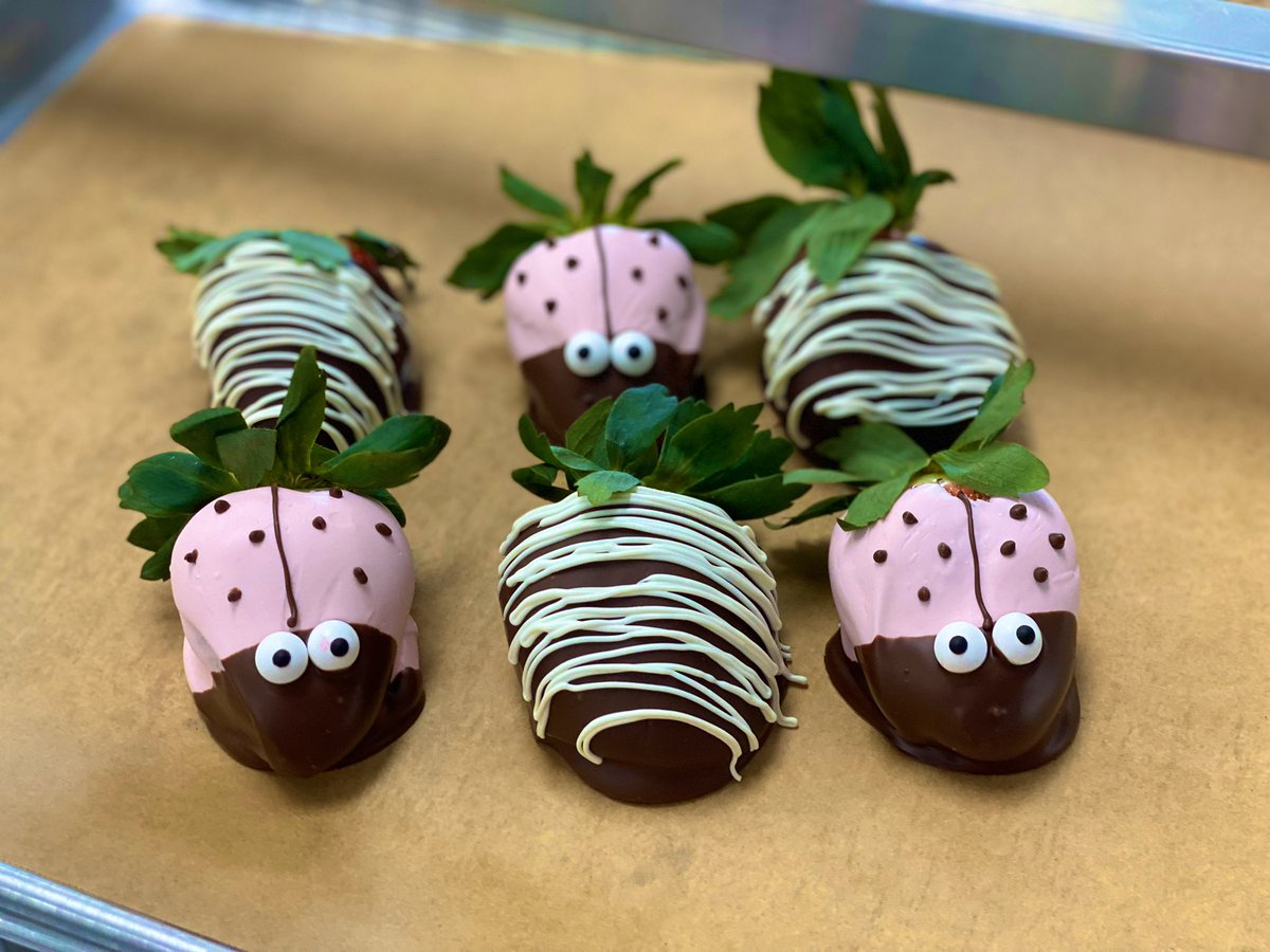 carascookieco's tweet photo. Chocolate covered strawberries.  7-10 day notice and pickup available at all NC locations. 

We just can’t say no to anyone 😭😂😇 https://t.co/9U9Jpw9ent