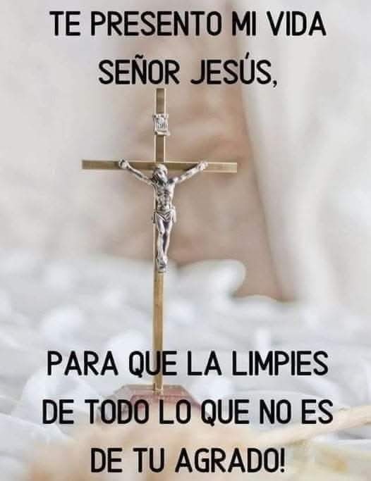 Quisiera SEÑOR...
Transformarme en un poquito de barro y colocarme en tus manos, para implorarte un millón de veces...¡ REMODELAME,
RECONSTRUYEME !

Aparta tu semblante de mis faltas, borra en mí todo rastro de malicia.
Yo impotencia,Tú,Omnipotencia,
Yo fragilidad...