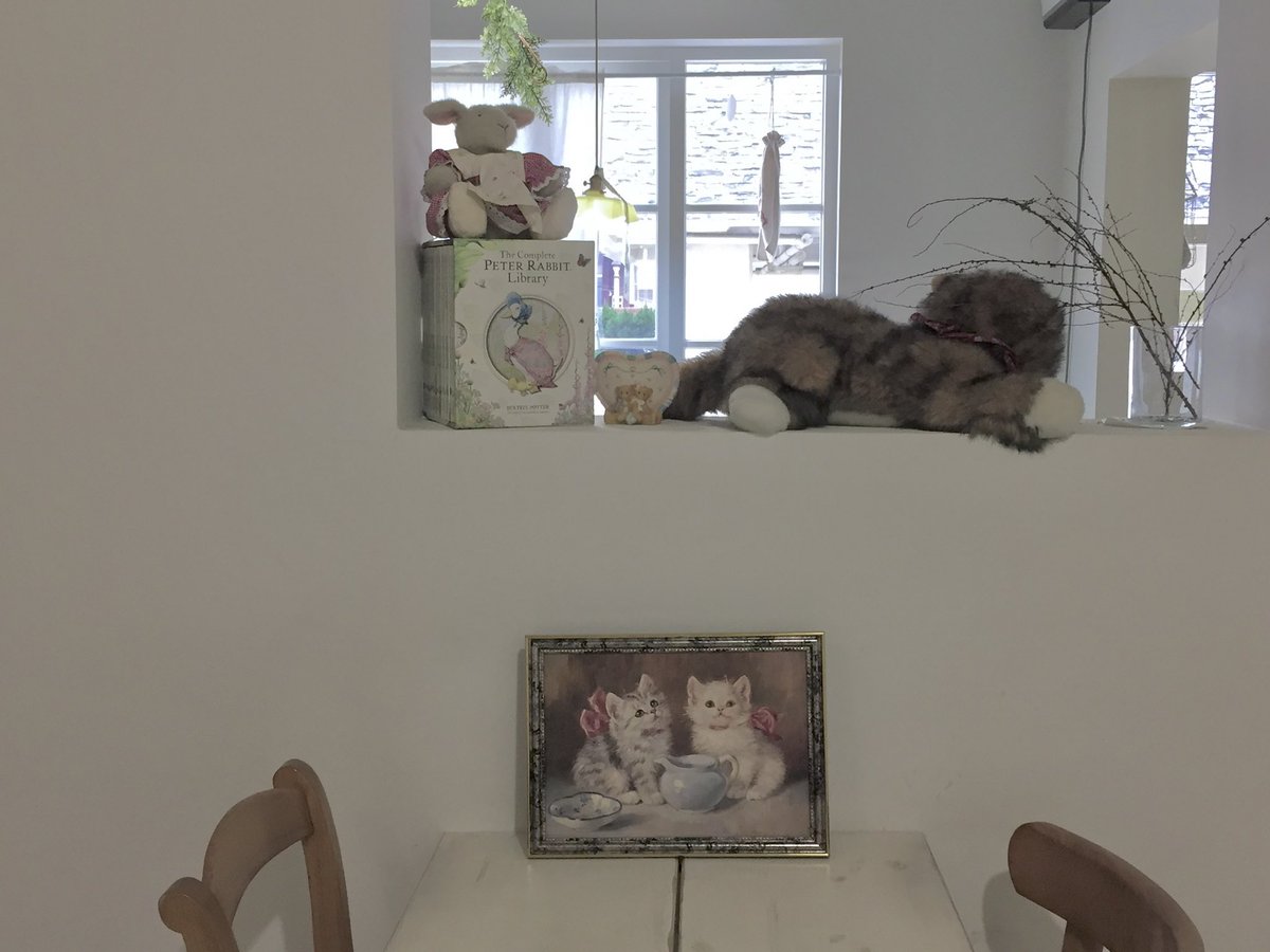 ヤム❦ tweet media