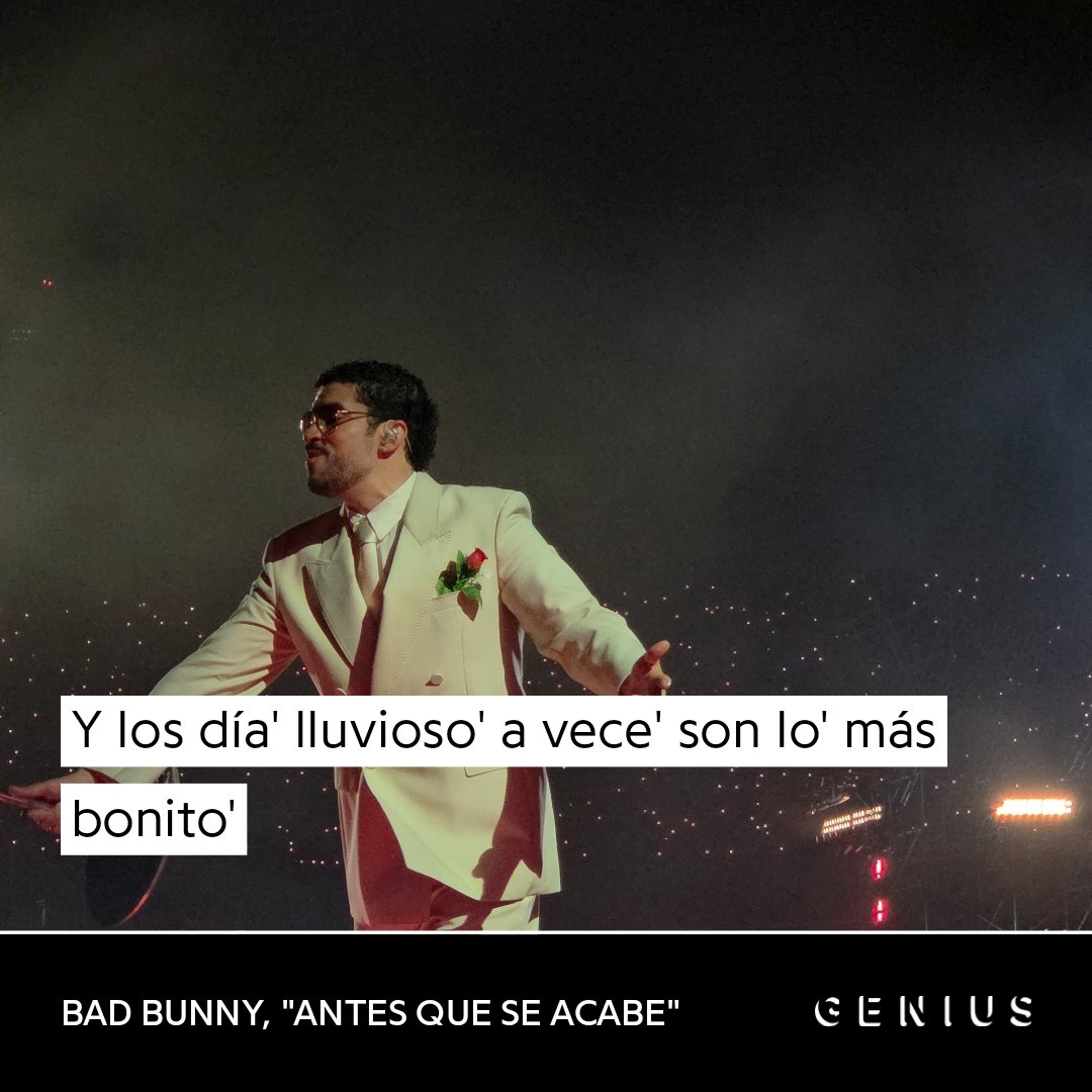 Bad Bunny Argentina tweet media