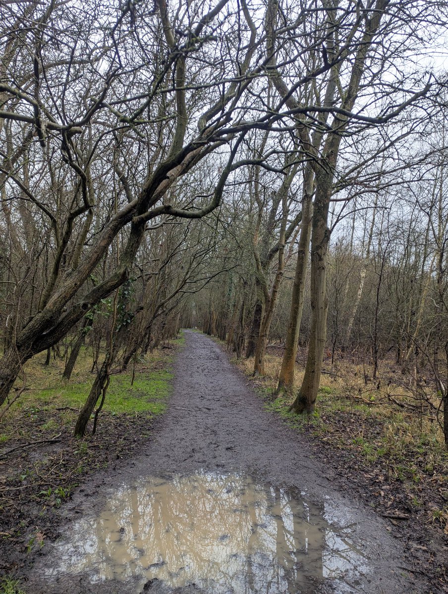 Keith Mandemant tweet media