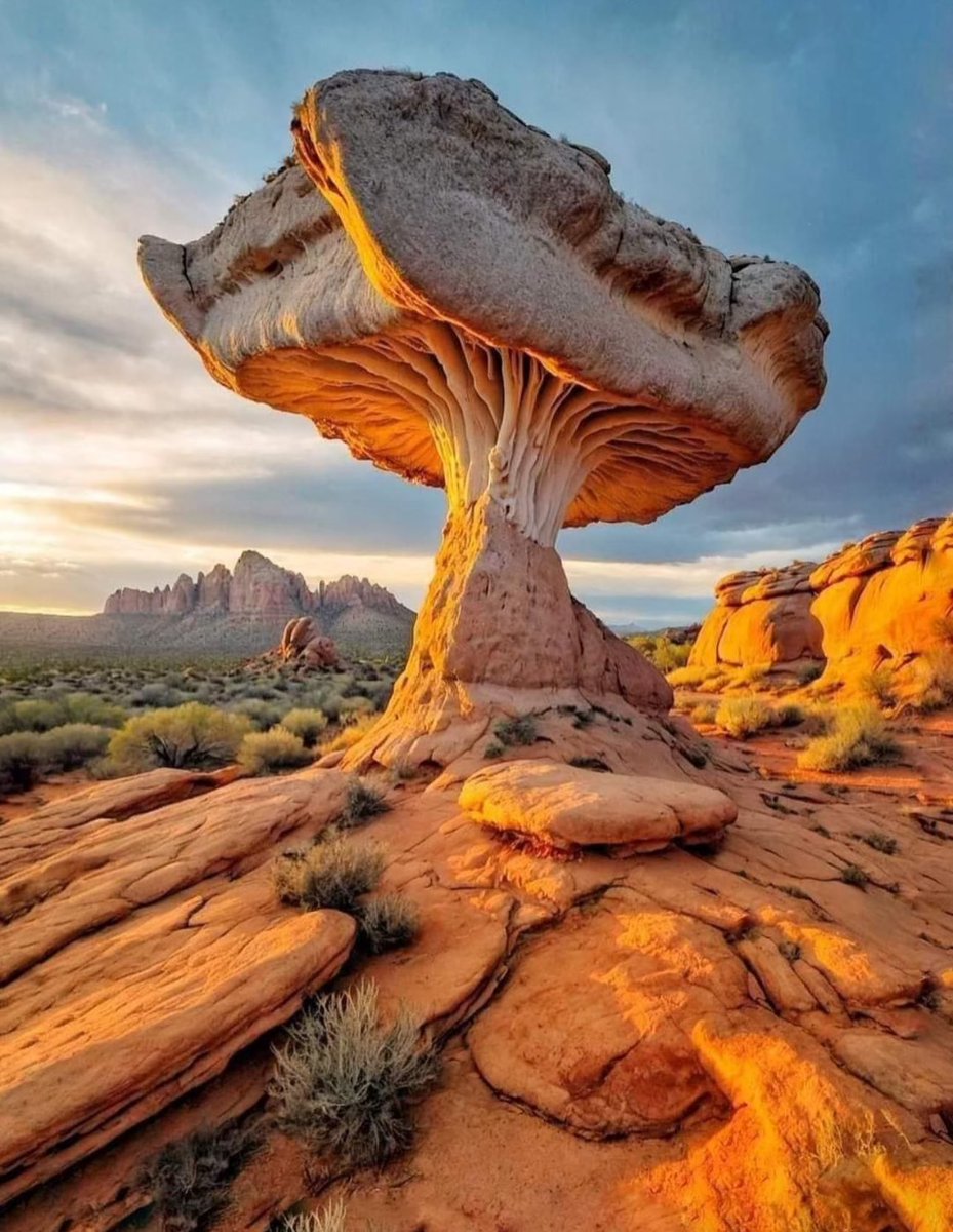 卤蛋（互fo）💯💯 tweet media