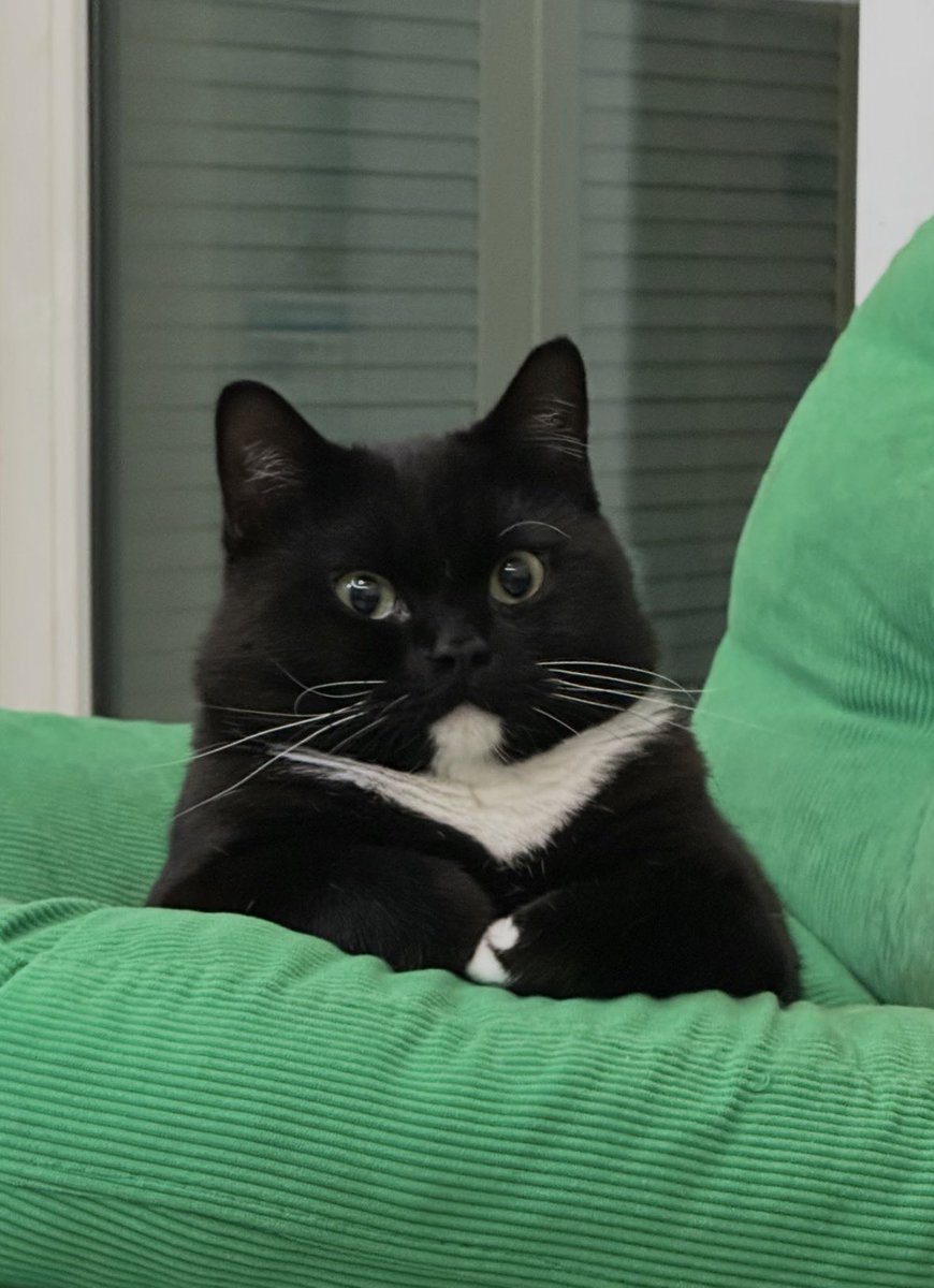 tanont916's tweet image. สนุกมากครับ แล้วเจอกันใหม่ ฝากรีวิว หรือให้ 5 ดาวด้วยนะครับ
#WonderOneMusicFestivalxNONTTANONT
#WonderOneMusicFestival
#nontfam #NONTTANONT