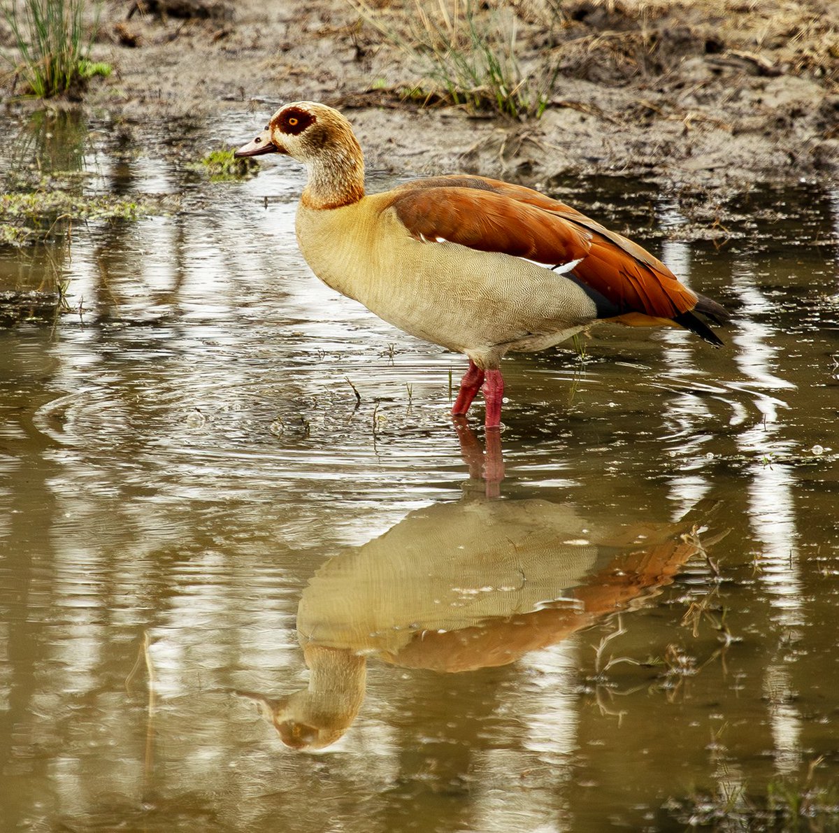 Photography Tricks and Tips tweet media