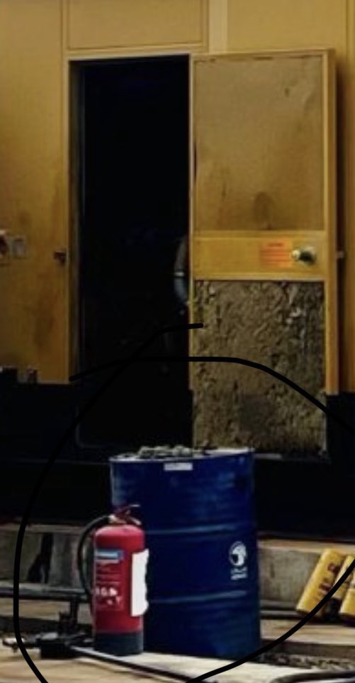 ذئب بريء tweet media