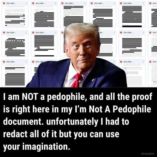 What  if we just handled the Trump-Epstein Files according to the same logic  ICE uses?  Just round up anyone who was remotely mentioned or connected  and keep them in concentration camps until we can figure out if they  actually committed a “crime” or not?