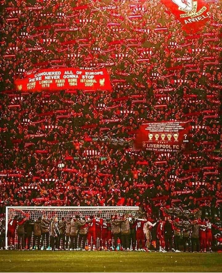 🔴 𝙰𝚗𝚏𝚒𝚎𝚕𝚍 𝚅𝚒𝚎𝚠 🔴 tweet media