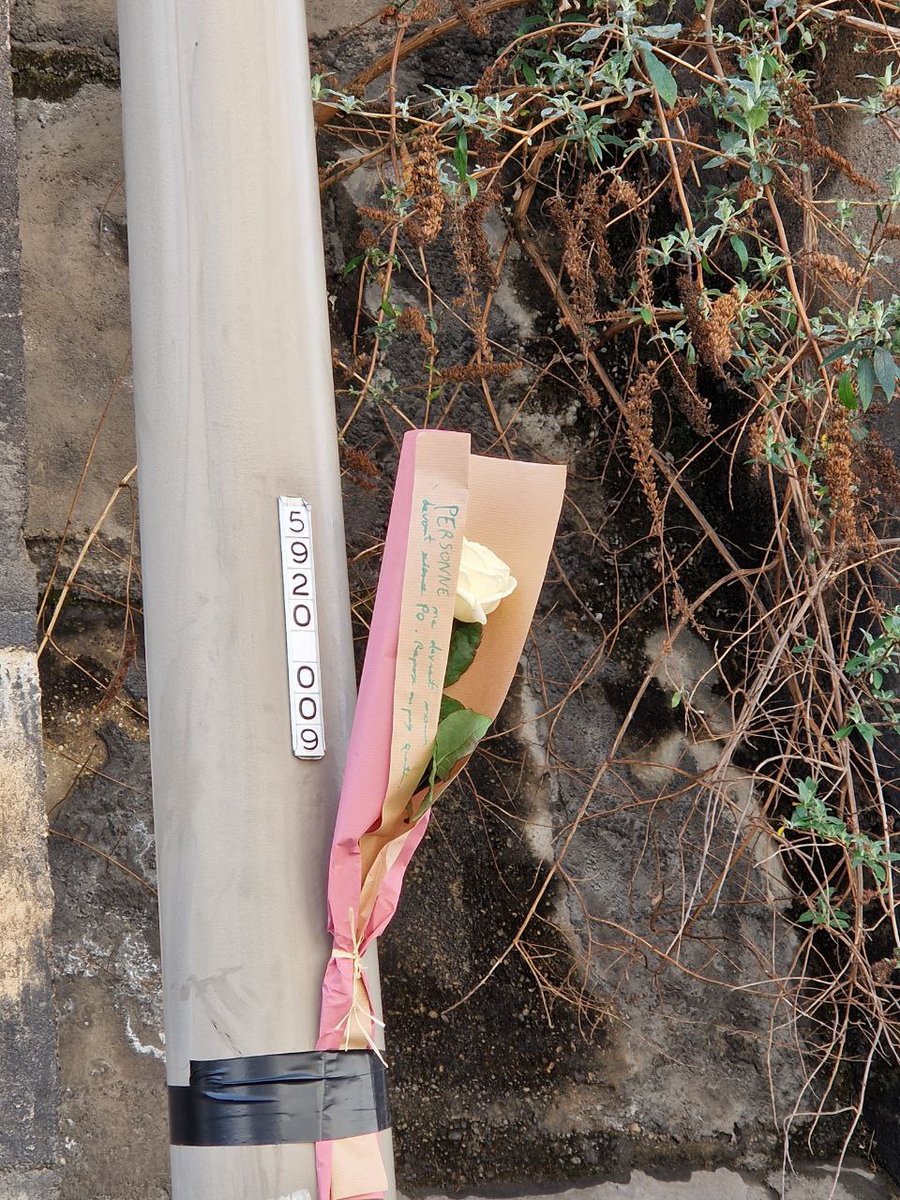 Génération Z | Lyon/Rhône tweet media