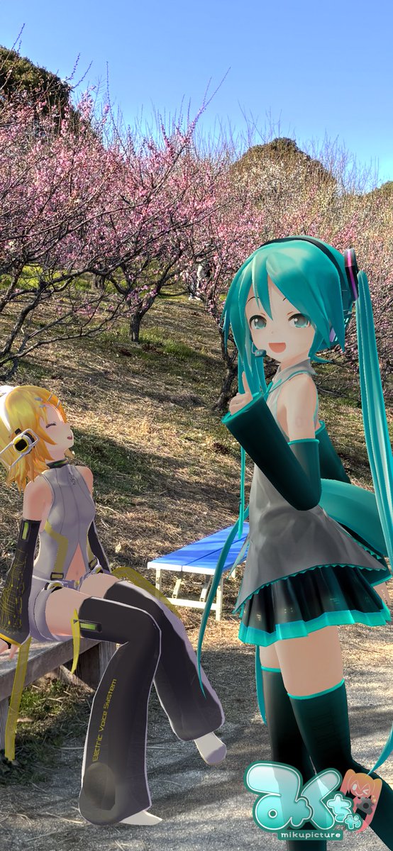 暖かくなって咲き始めた梅を見ながら一枚です。ようやく春っぽくなって来ましたね☺️ #みくちゃ #mikuture