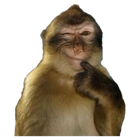 rest.맹두 tweet media