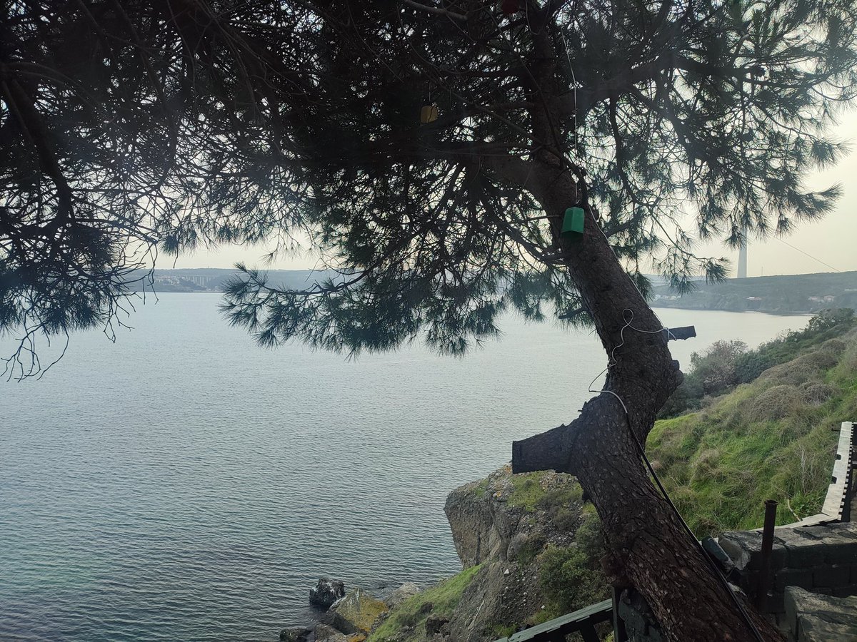 Garipçe İle Rumeli Fenerinin oralarda Deniz Yeşil 3. Köprü Çay Kahve vs vs