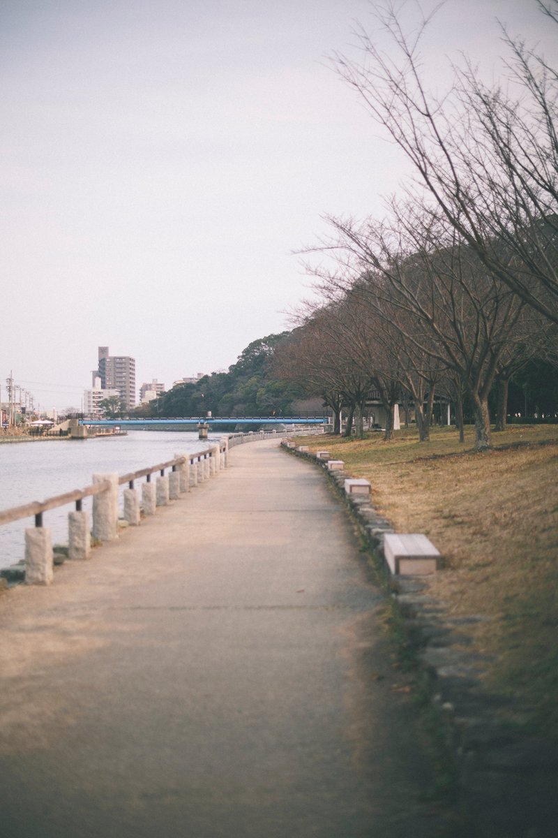 冬の昼間の閑散とした公園