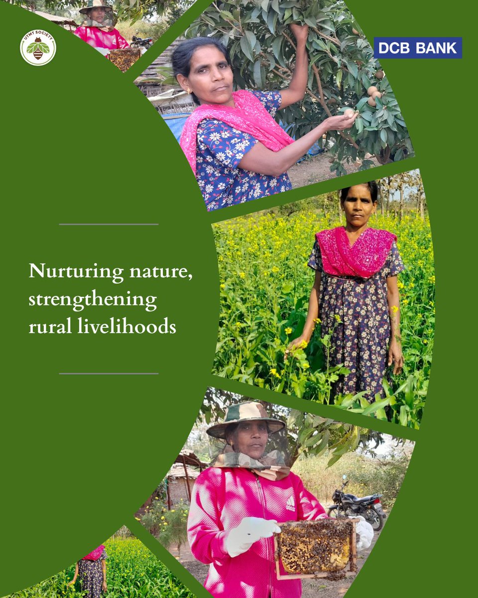 SocietyUtmt's tweet photo. 🌼🐝 Meet Sulaben Gamit from Tapi (Gujarat) - after taking up beekeeping training in 2023, Sulaben watched her fields flourish. 

Improved pollination strengthened her crops and added ₹33,400+ to her annual income.

A quiet shift with far-reaching impact!

@DCBBank https://t.co/XP1O0hyhMq