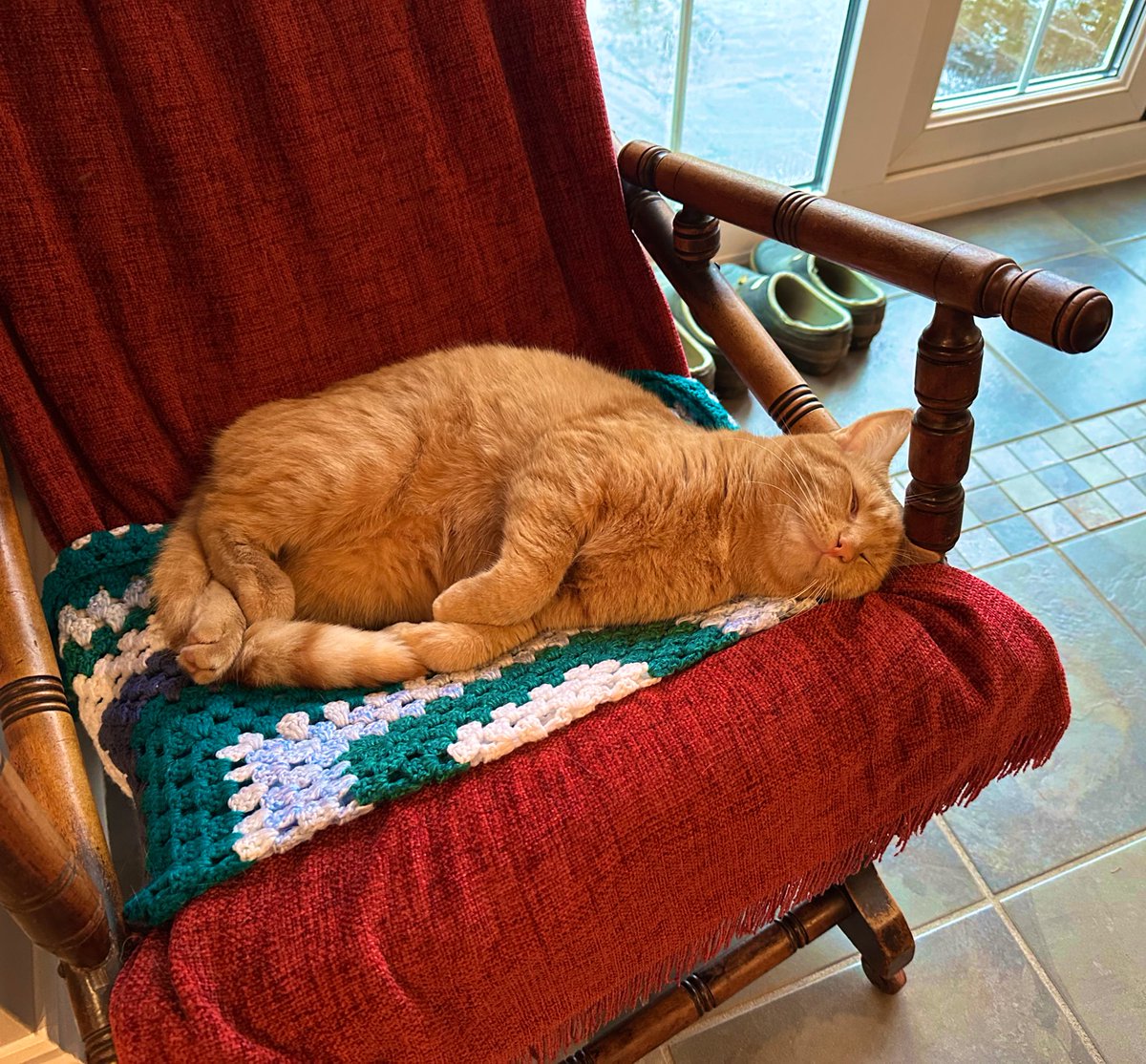 NTortie's tweet photo. There is only one thing a cat should be doing on a day like today 🌧️💤 🧡😸
#CatsOnTwitter https://t.co/ITOcGw0Ek2