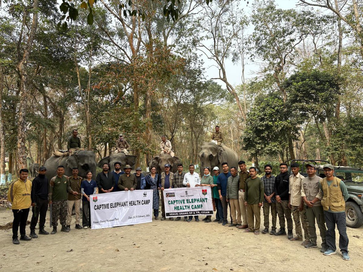 Mangaldoi Wildlife Division tweet media